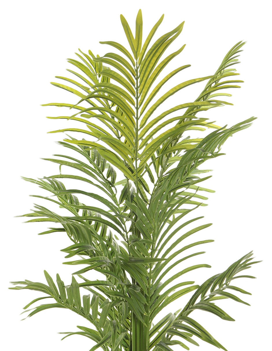 Palmera 135 cm con maceta 3
