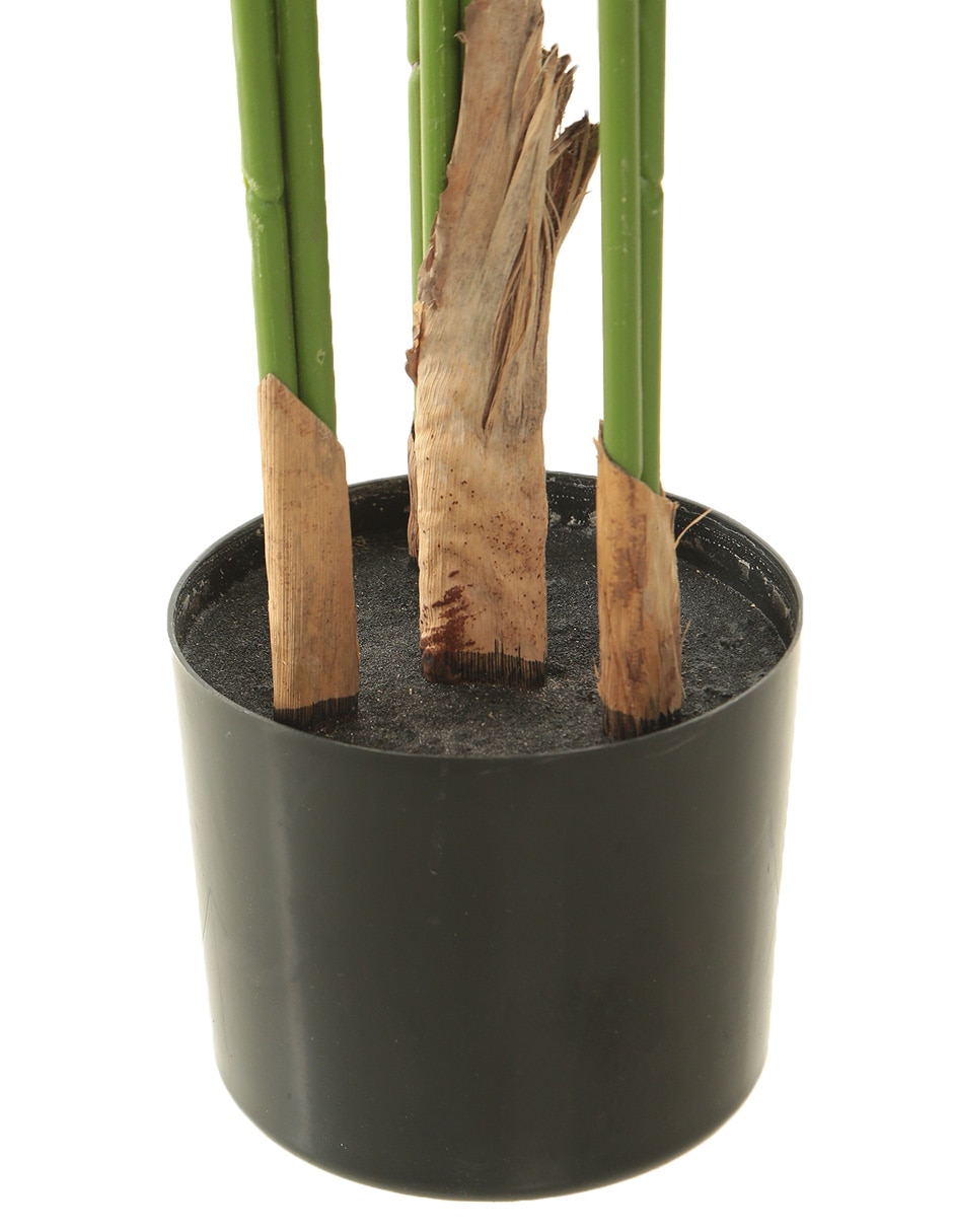 Palmera 135 cm con maceta 4