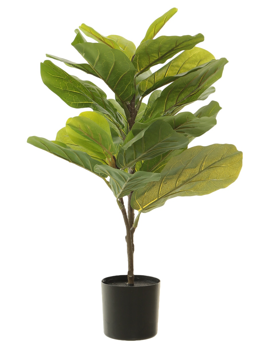 Árbol