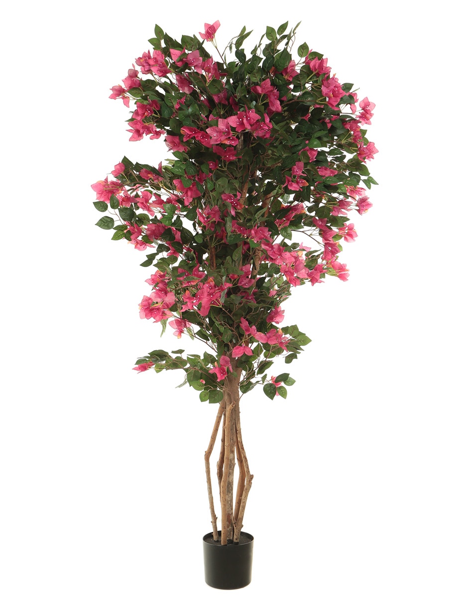 Árbol 1