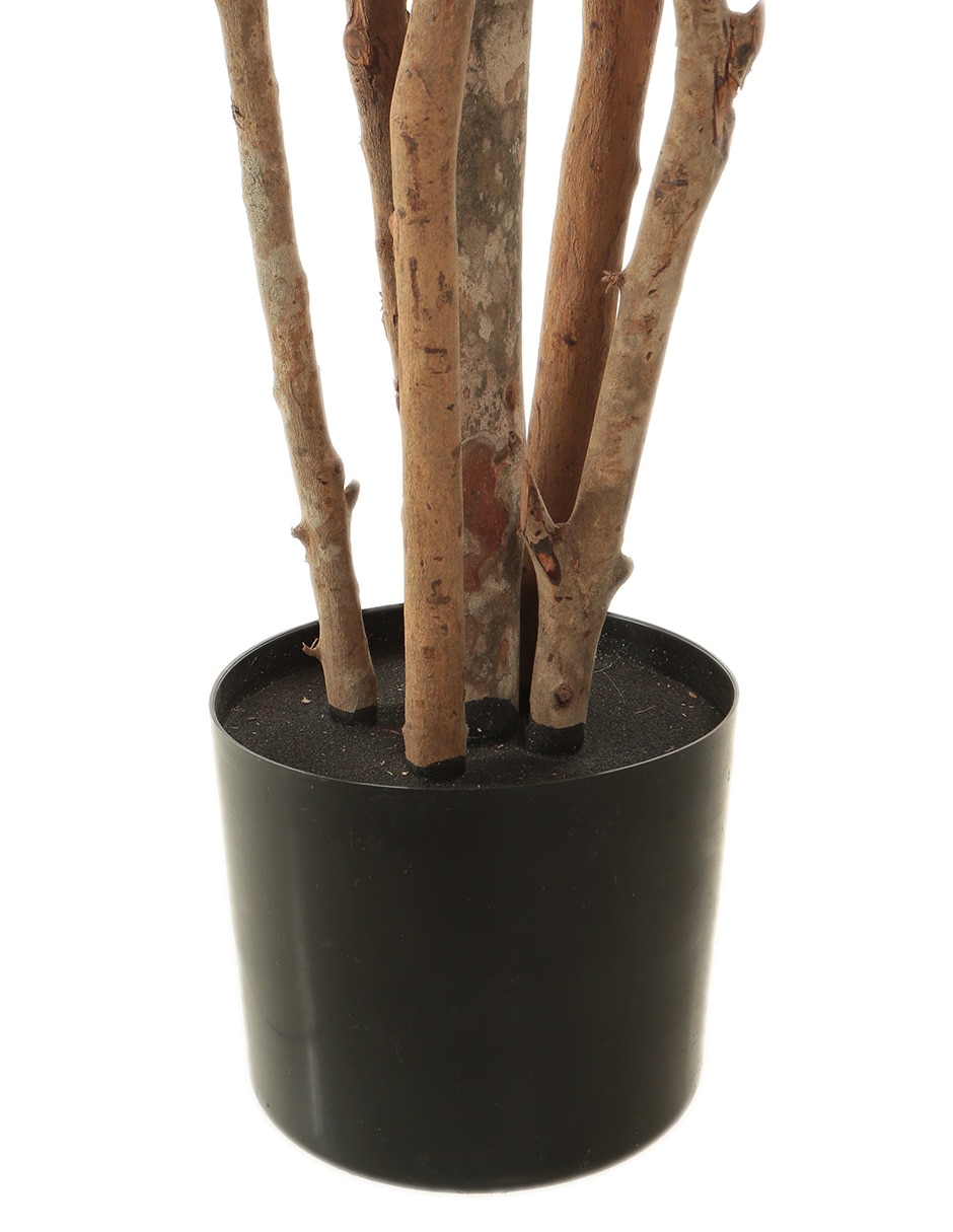 Árbol 3