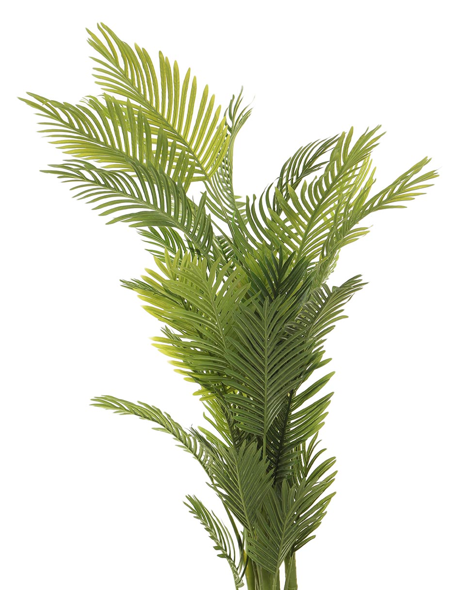 Palmera 155 cm con maceta 3