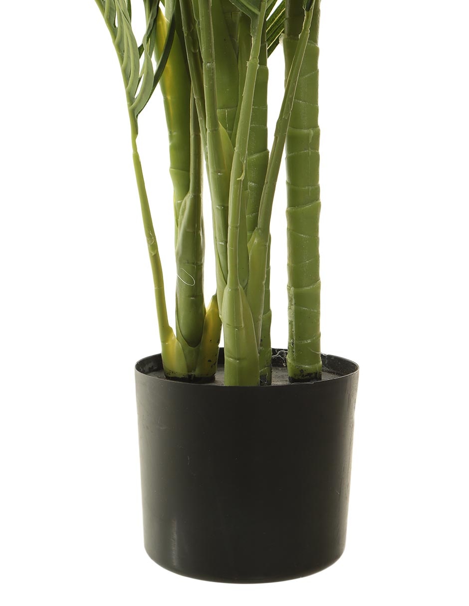 Palmera 155 cm con maceta 4