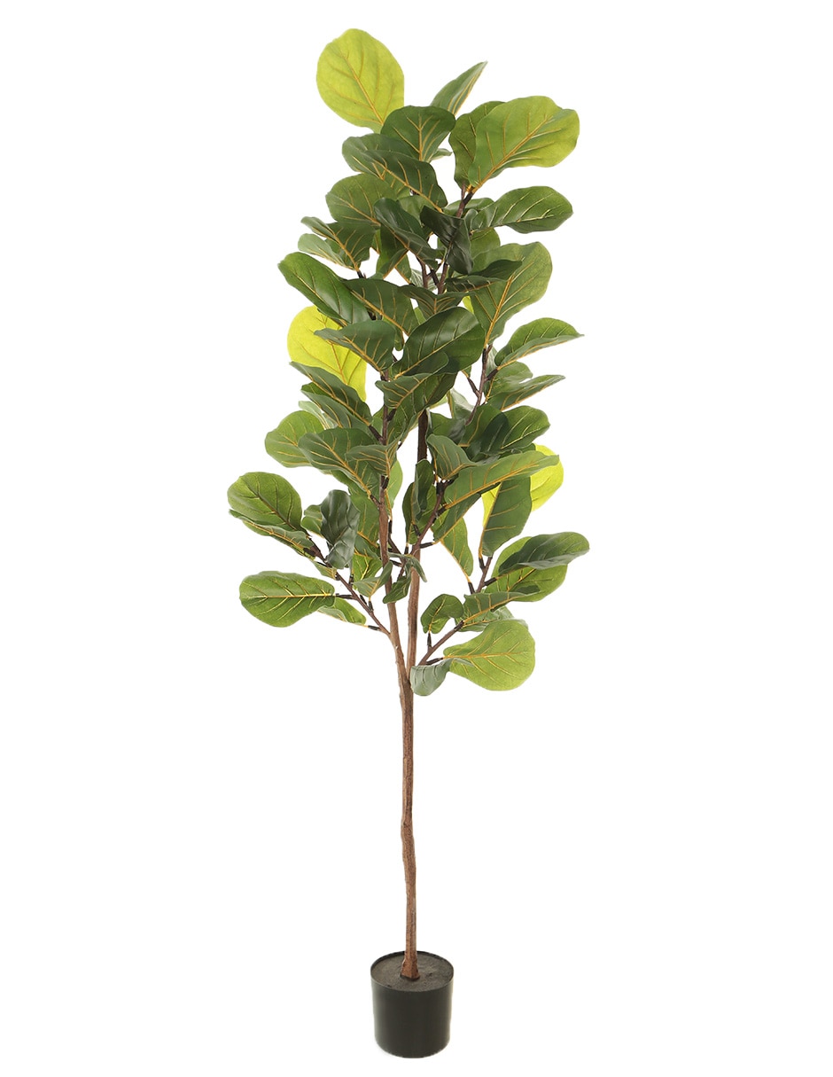 Árbol 2