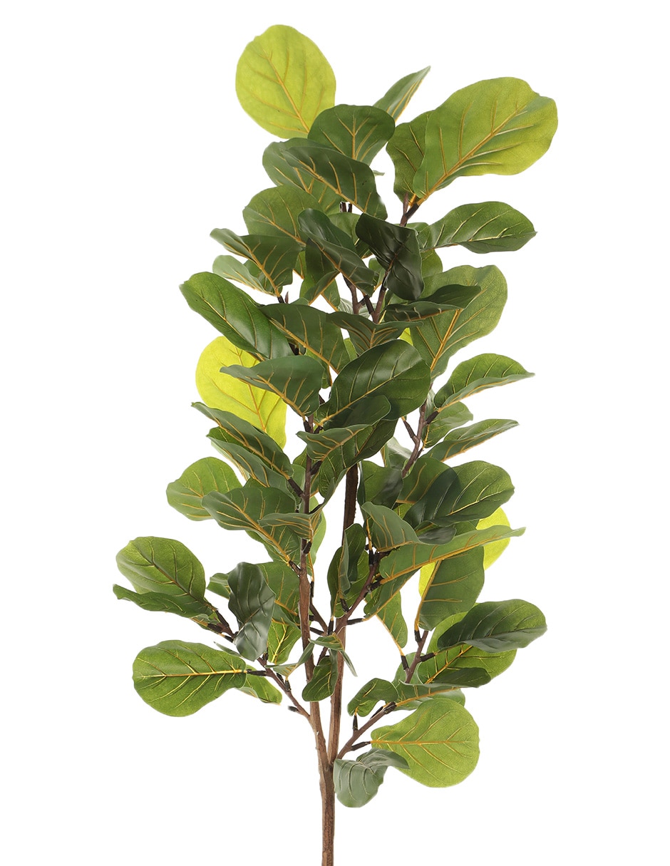 Árbol 3