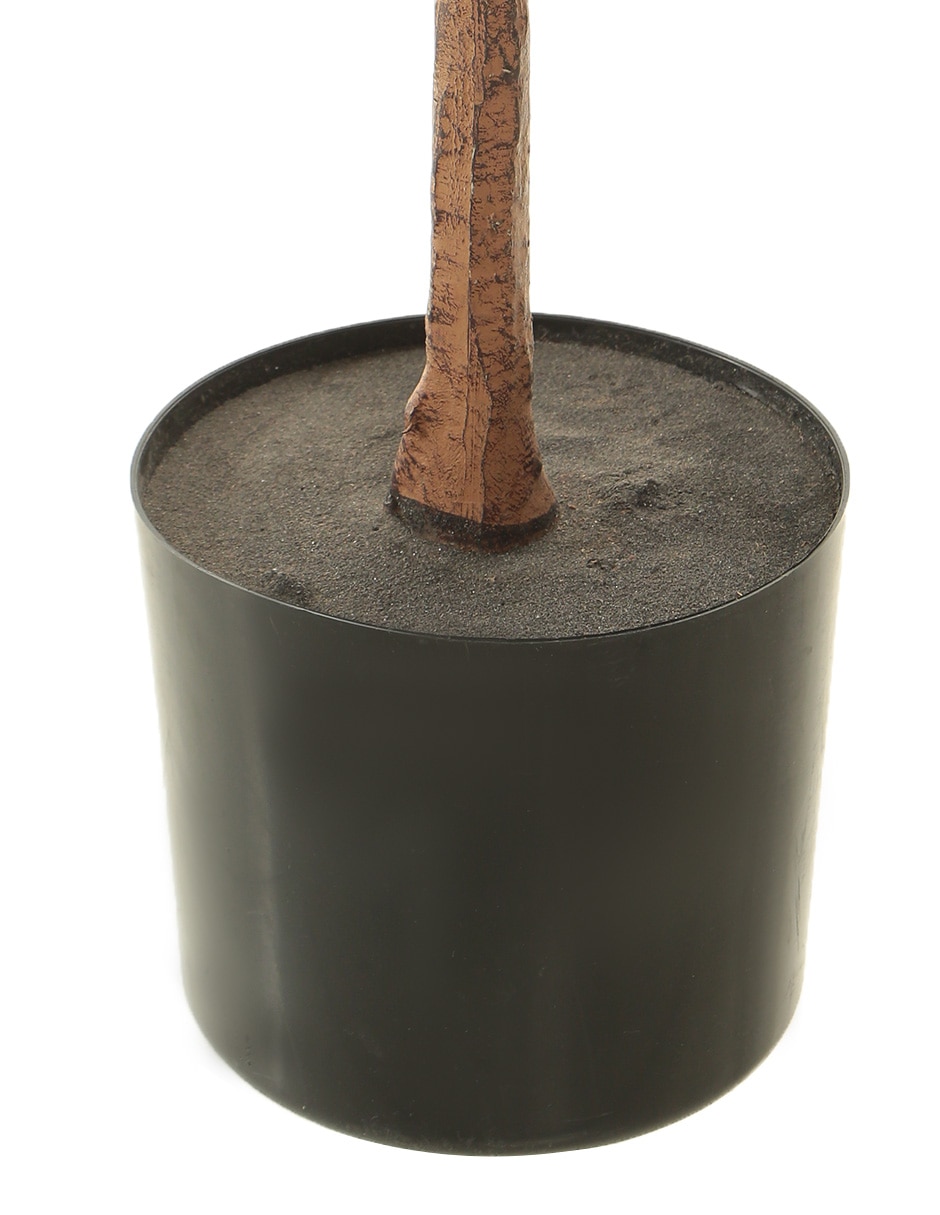 Árbol 4