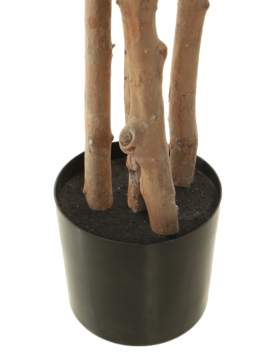 Árbol 4