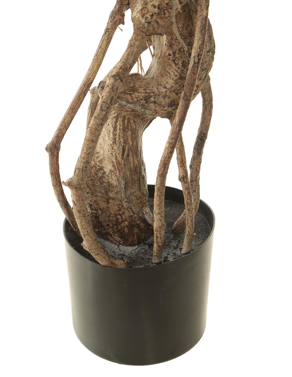 Árbol 4