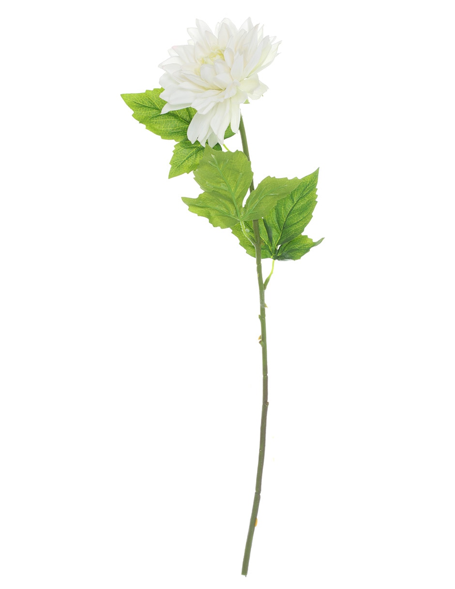 Dalia 1