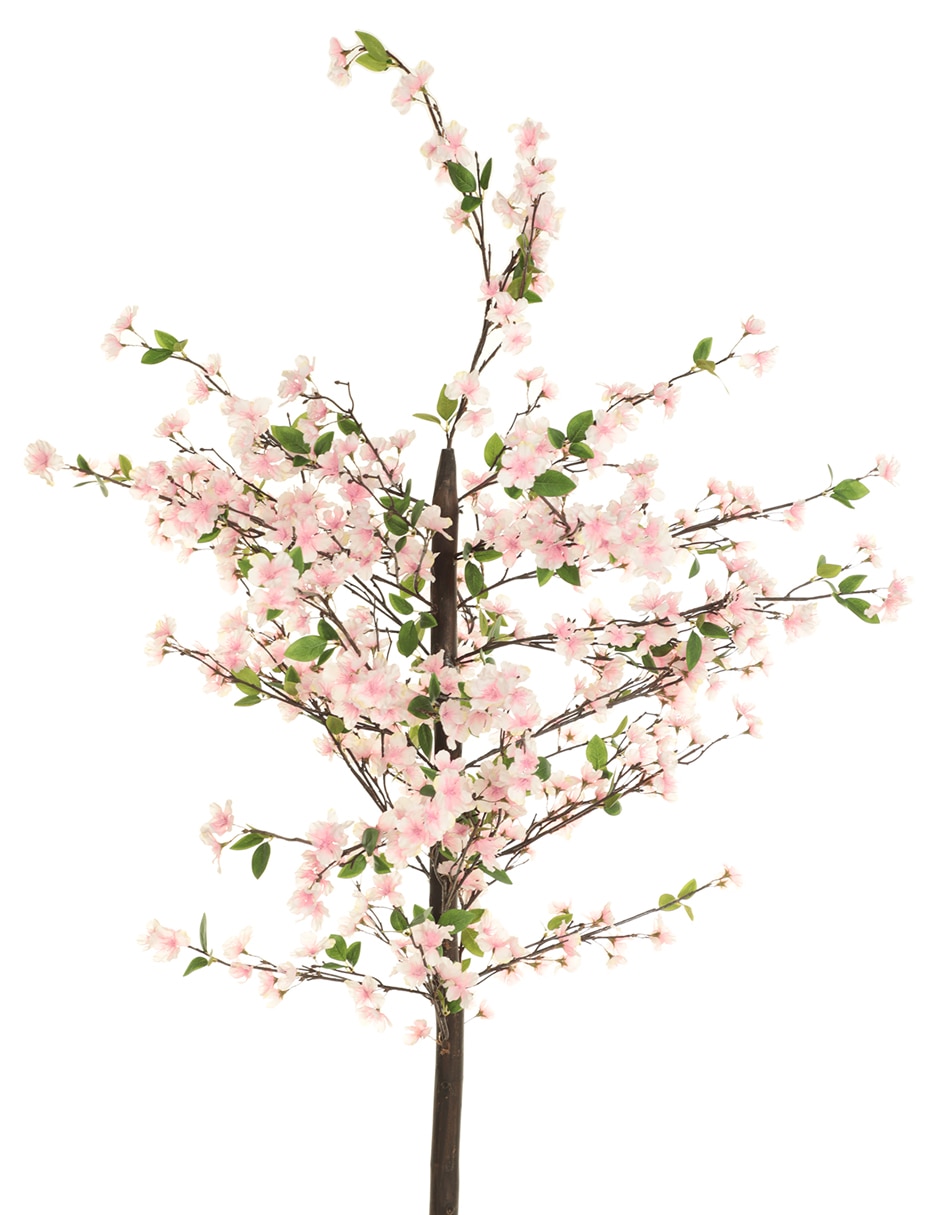Árbol 2