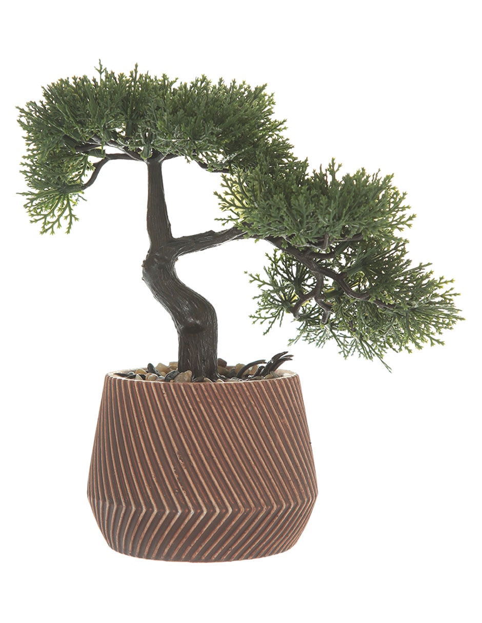Bonsai 26 cm con maceta Bonsai 26 cm con maceta