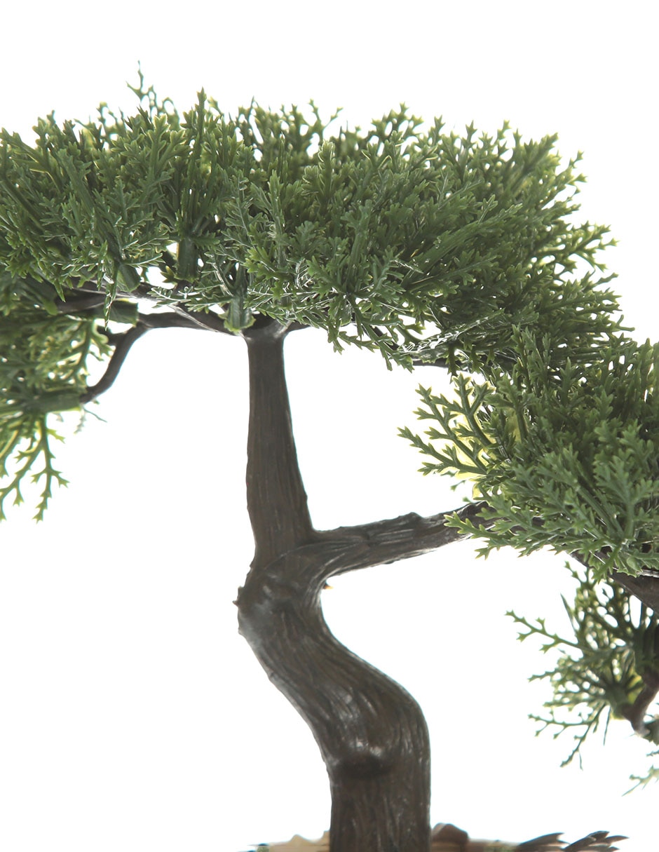 Bonsai 26 cm con maceta 2