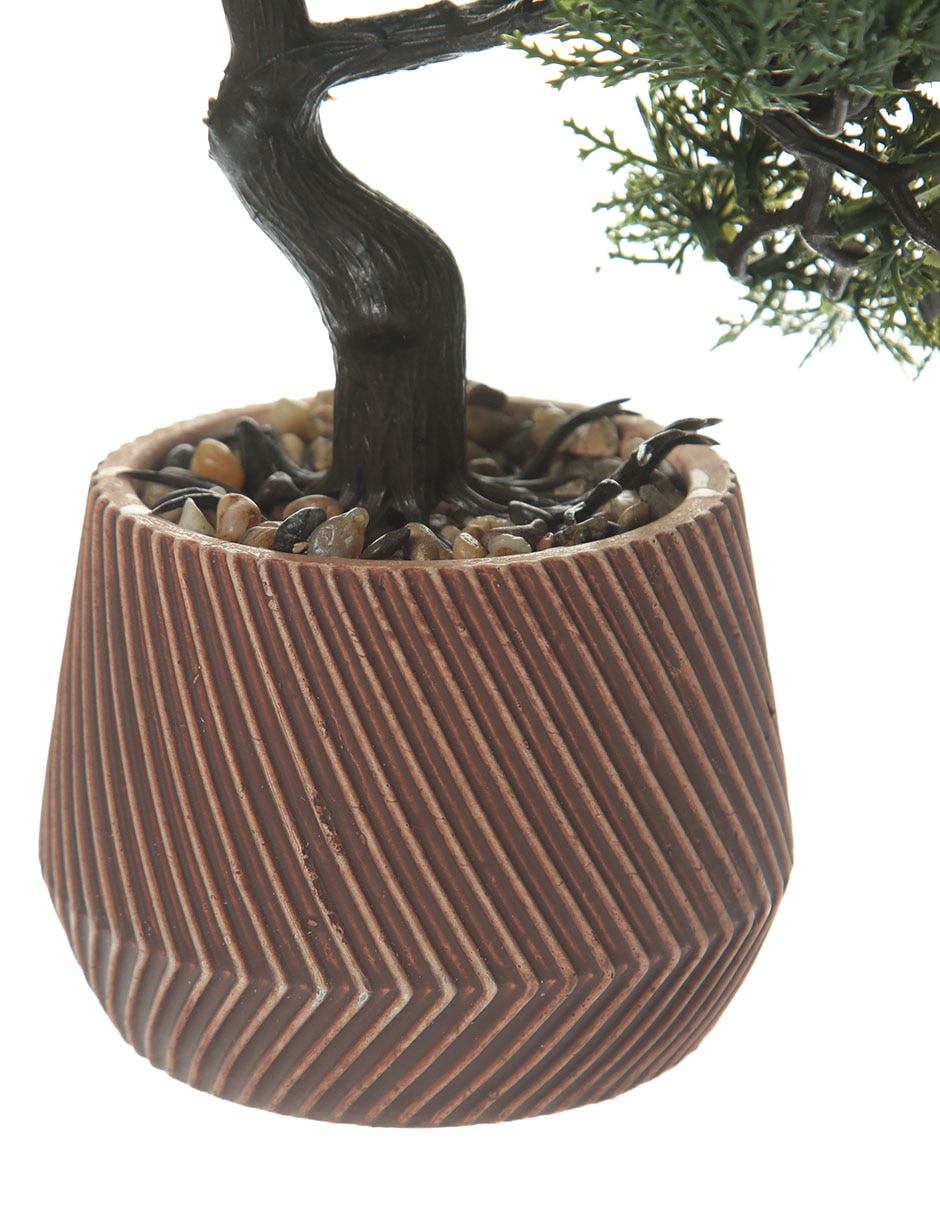 Bonsai 26 cm con maceta 3