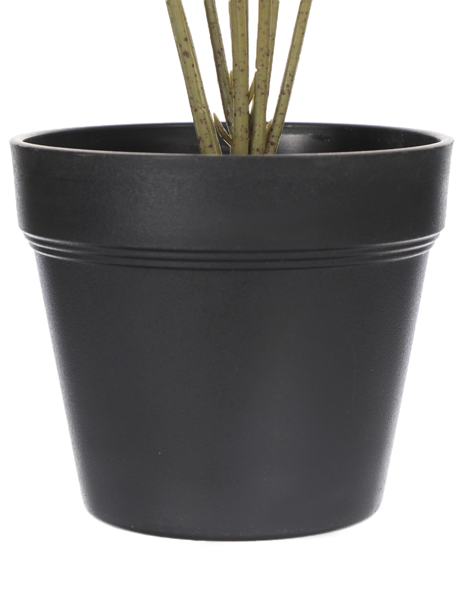 Planta 3