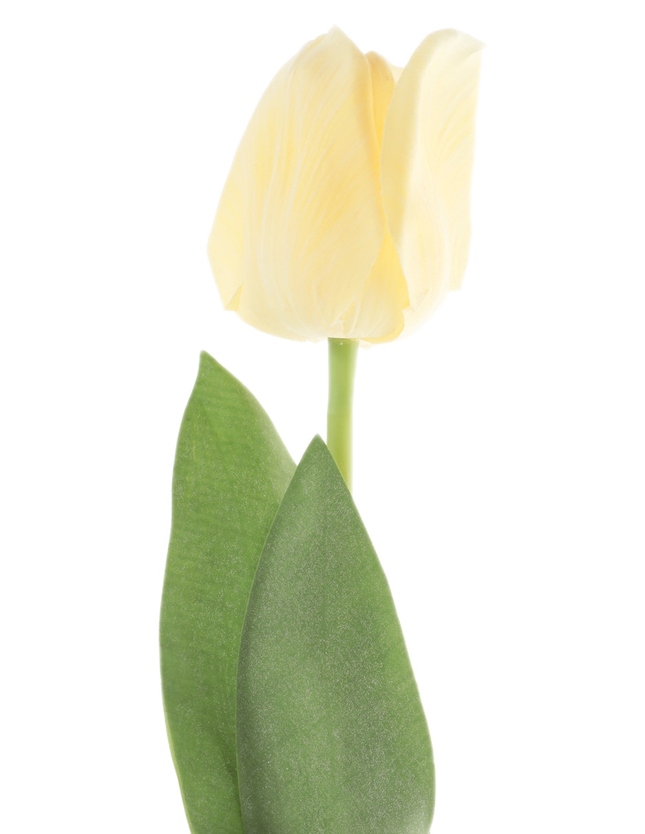 Amarillo