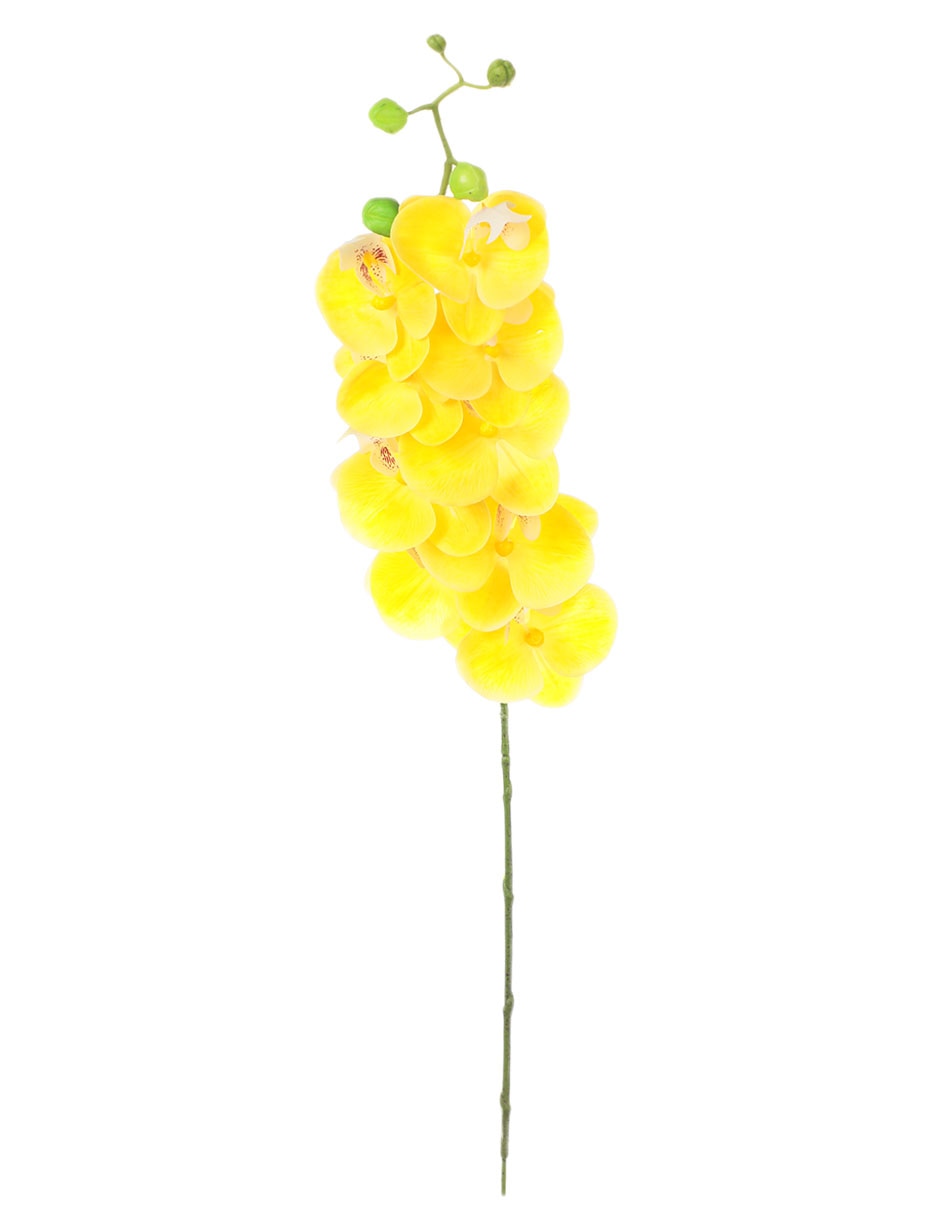 Orquídea