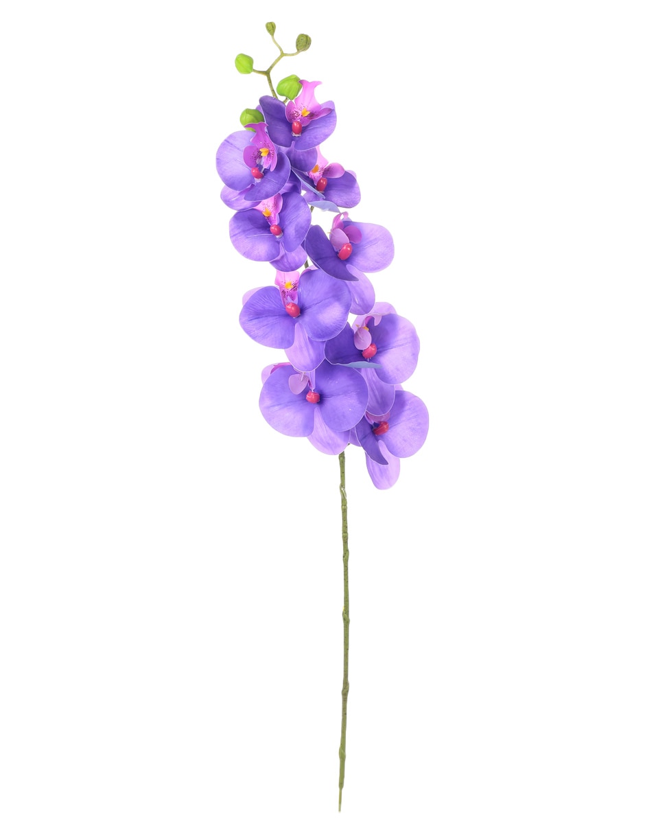 Orquídea