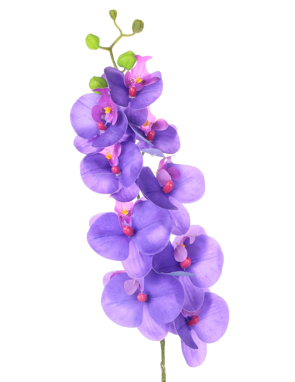 Orquídea 2