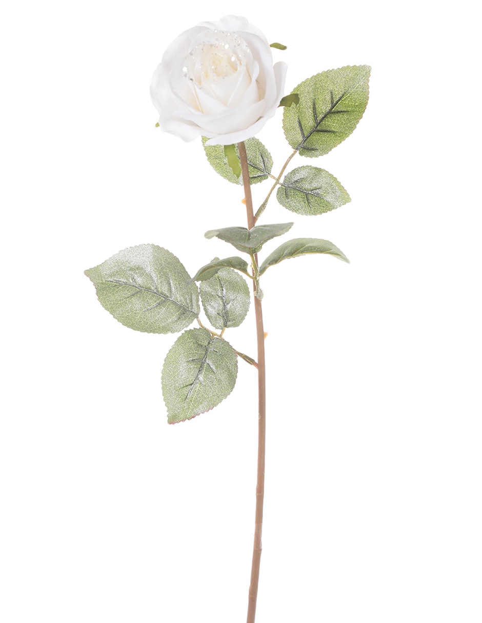 Vara de rosa 2