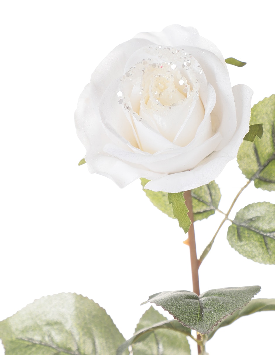 Vara de rosa 3