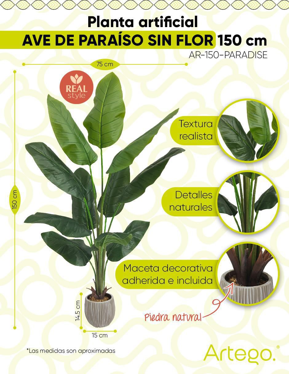 Ave paraíso artificial 9