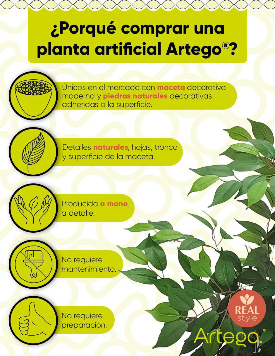 Ficus artificial 2