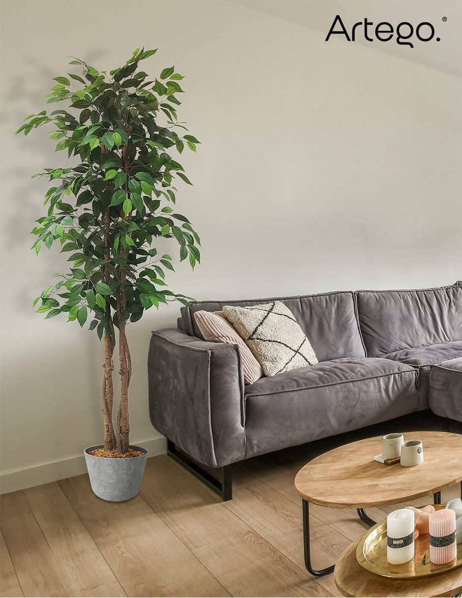 Ficus artificial 7