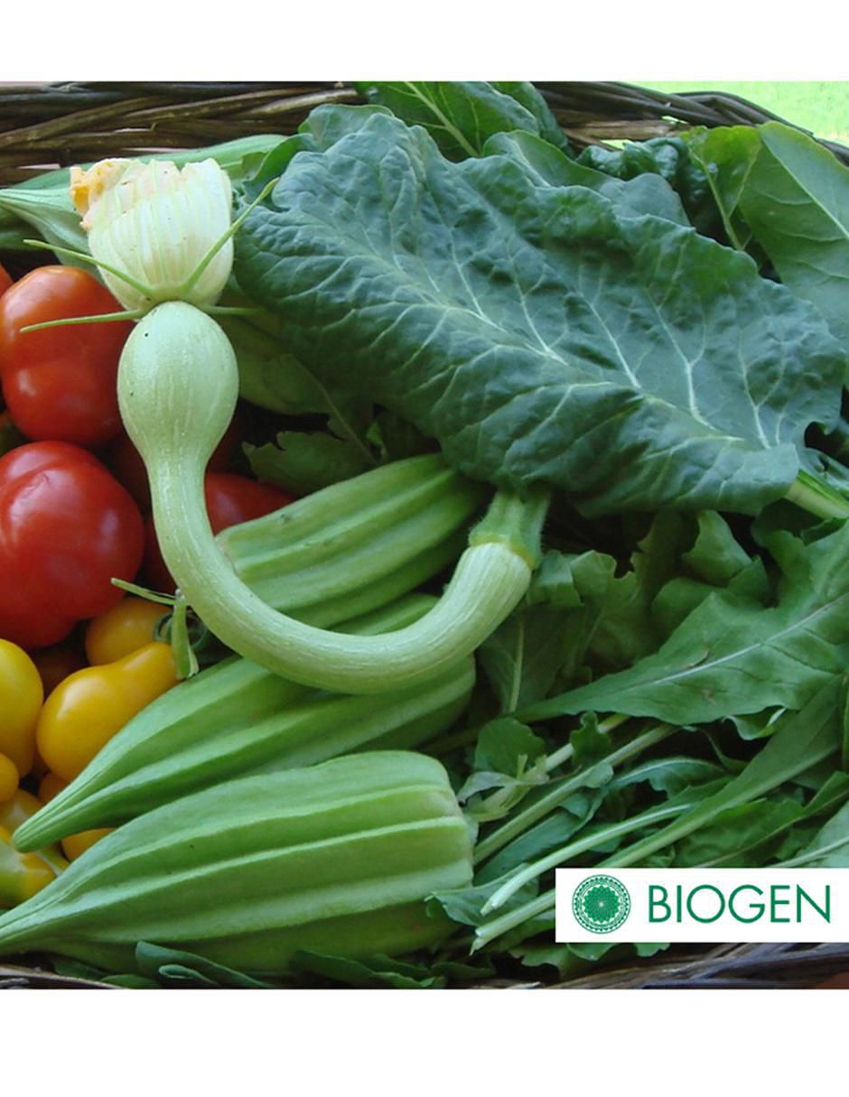 Fertilizante para todo tipo de plantas y césped 24710 3