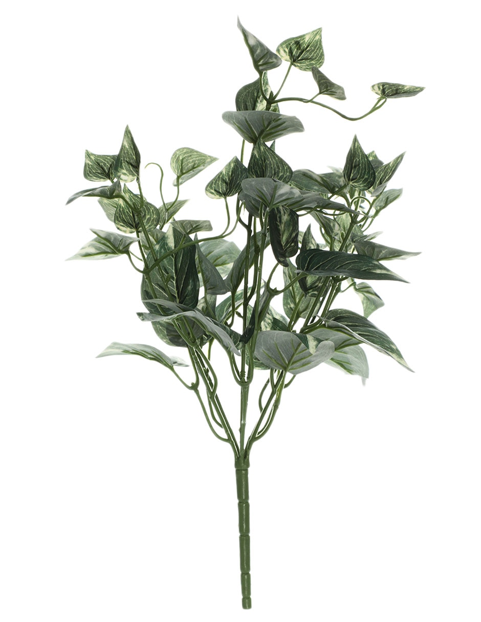 Ramo de pothos pick