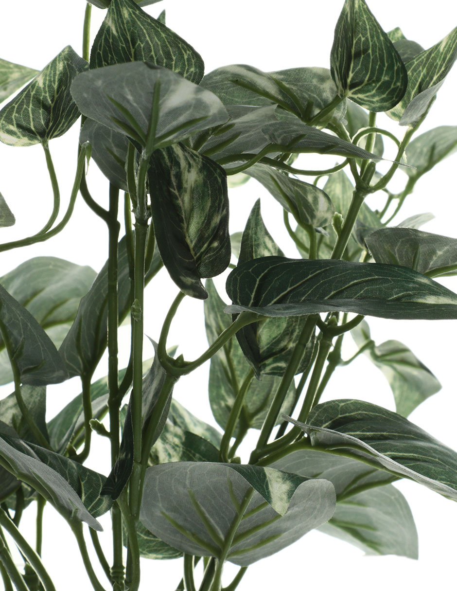 Ramo de pothos pick 2