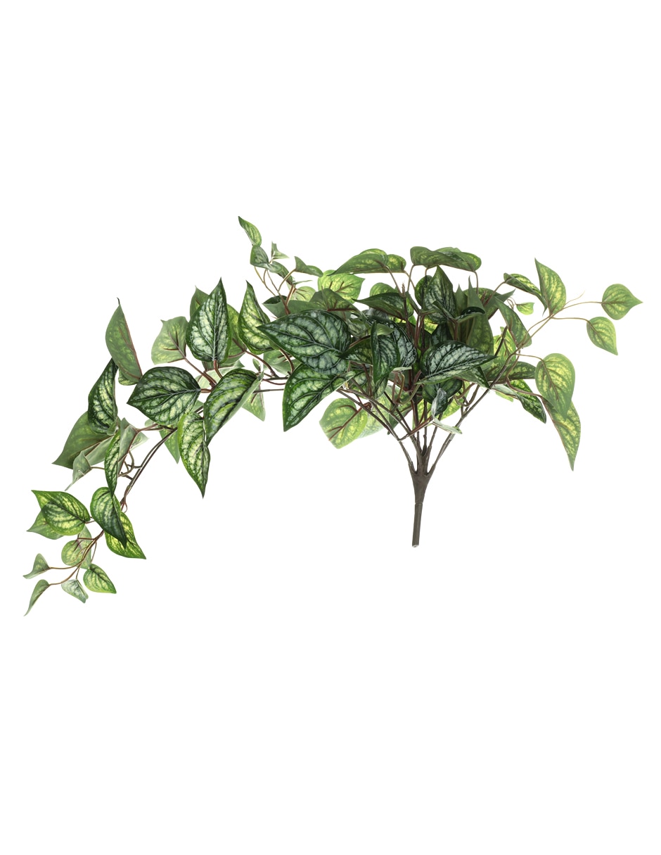 Ramo de rosa lisérgica 1