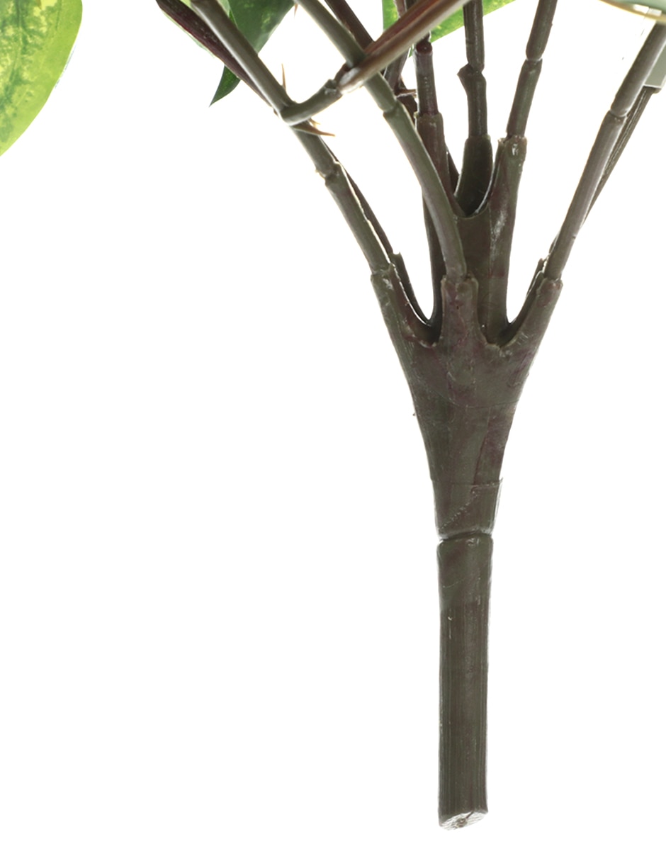Ramo de rosa lisérgica 3