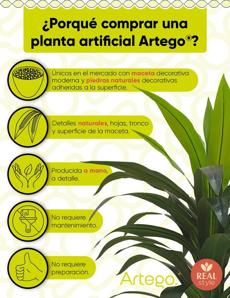 Palo de brasil artificial con maceta 2