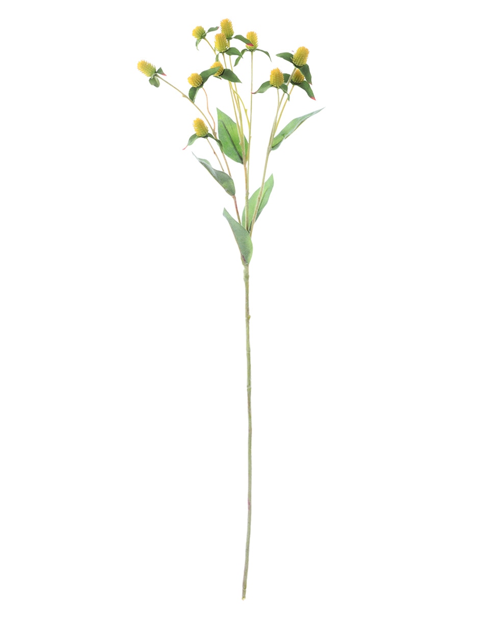Vara decorativa 1