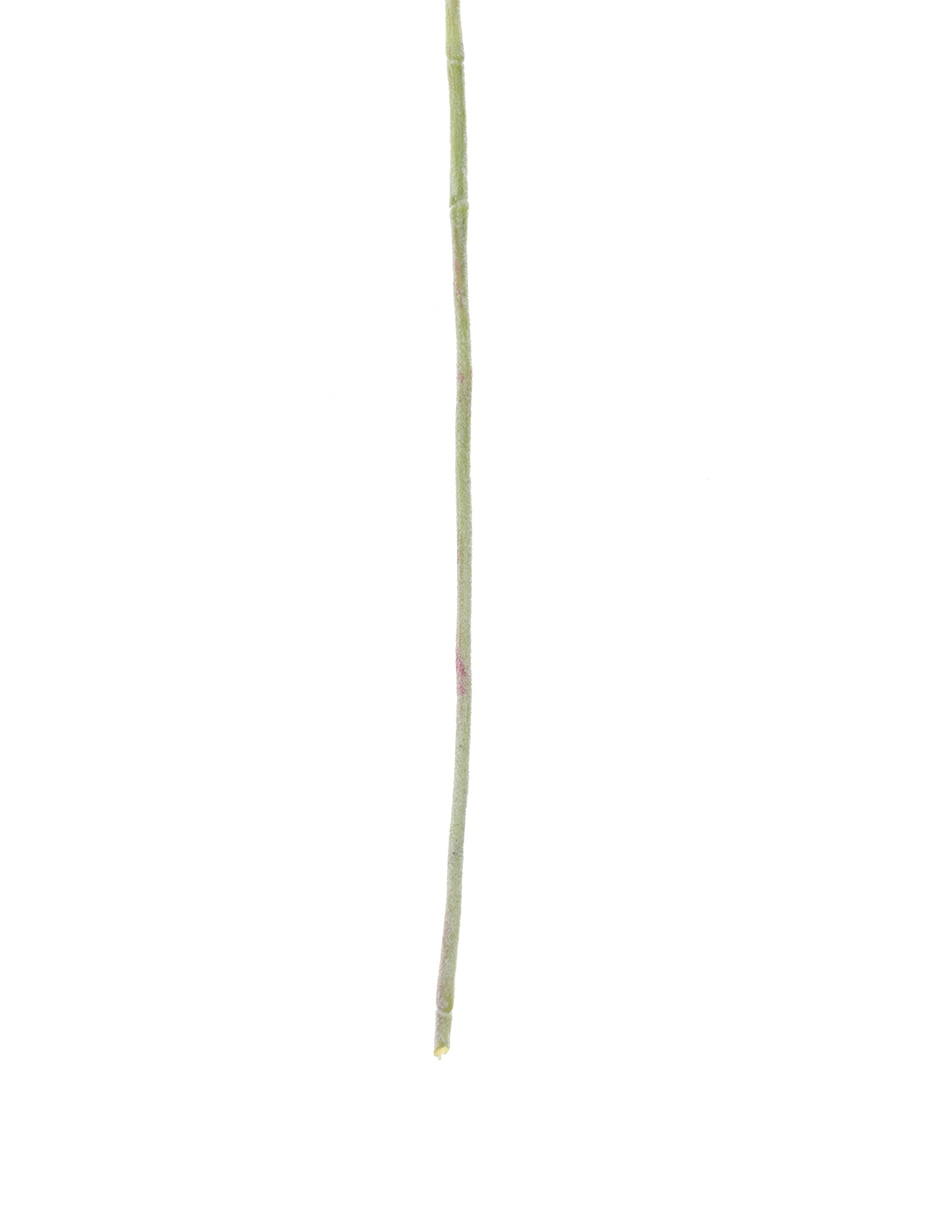 Vara decorativa