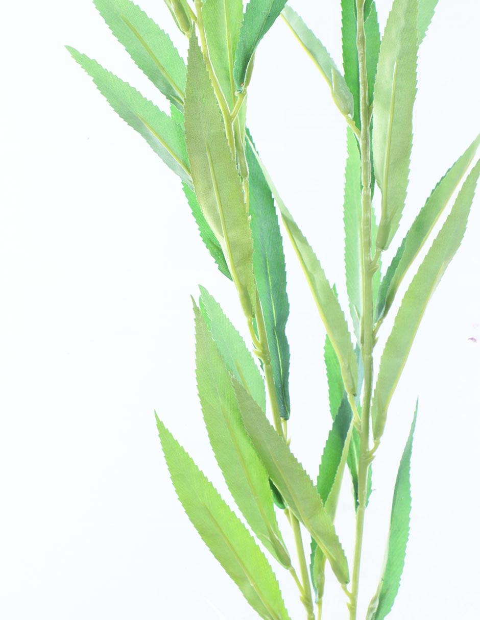 Sauce decorativa 2