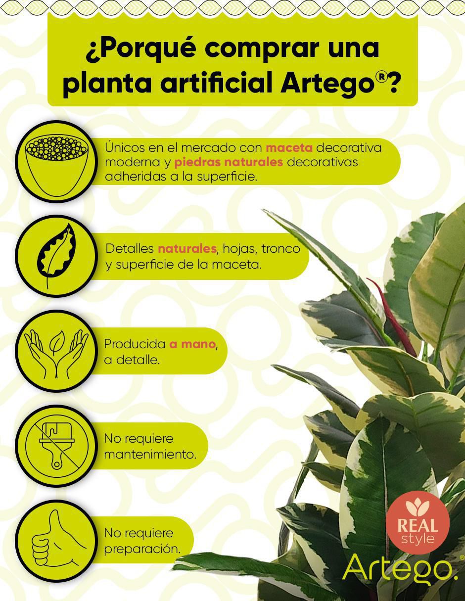 Ficus artificial 2