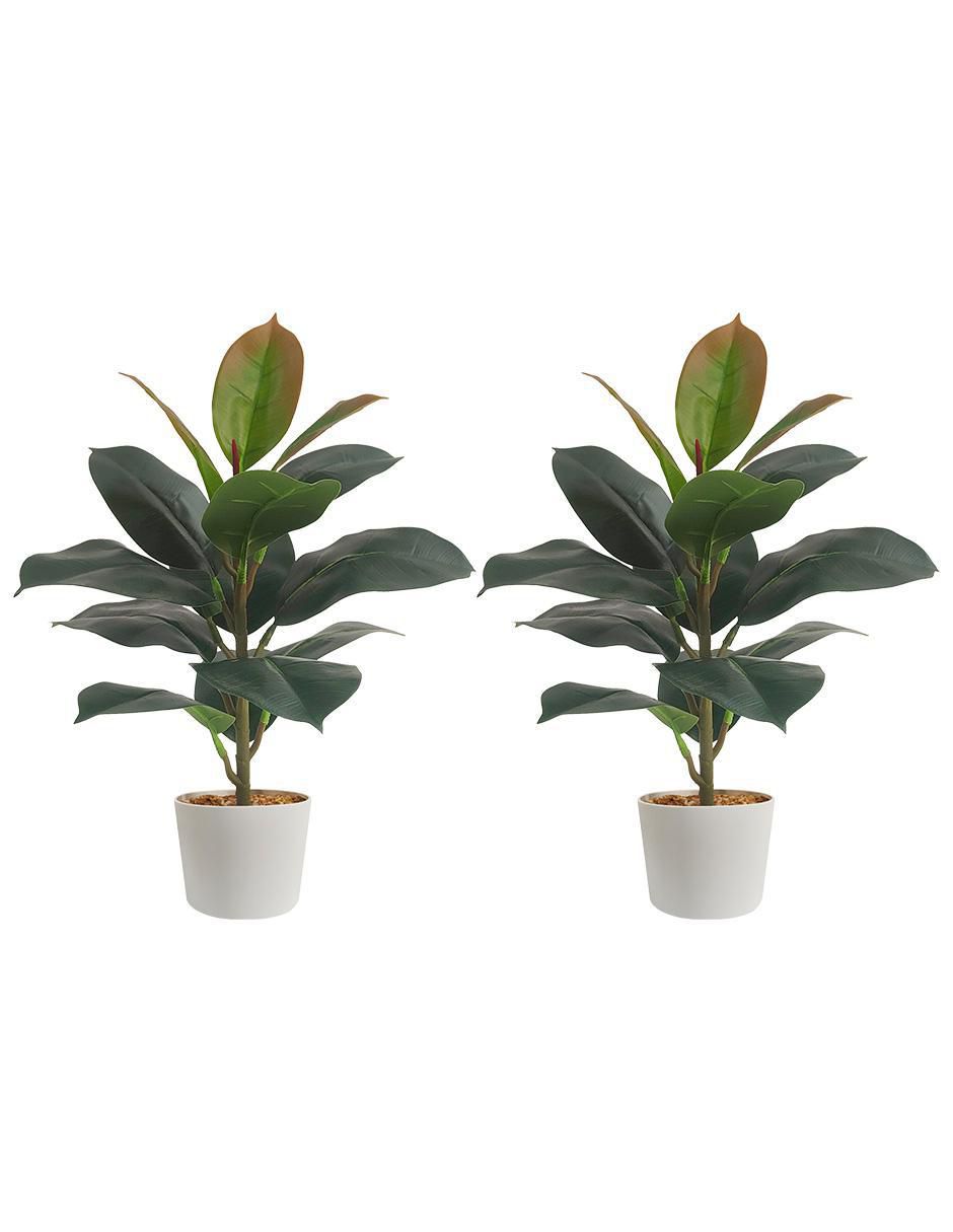 Ficus artificial Ficus artificial