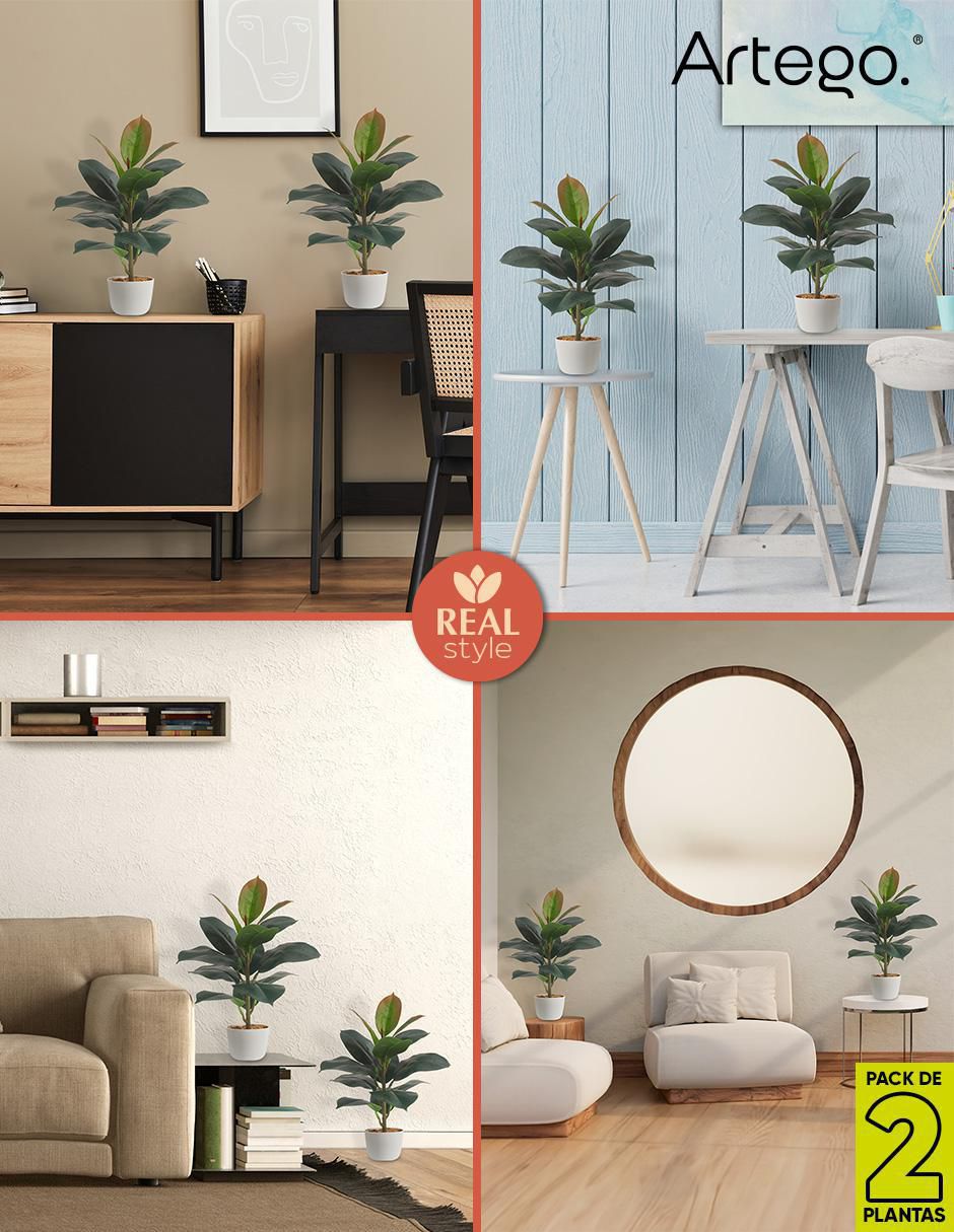 Ficus artificial 5
