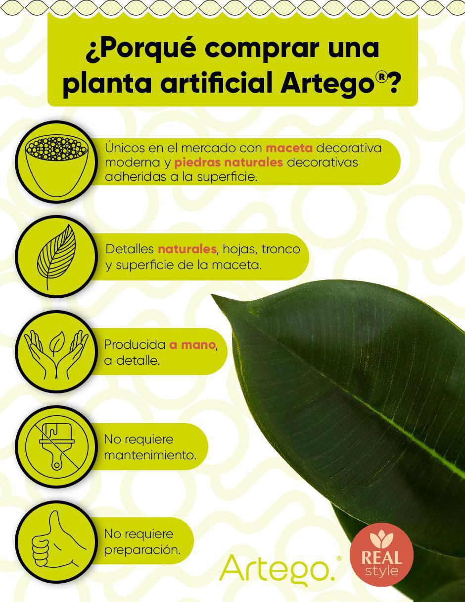 Ficus artificial 2