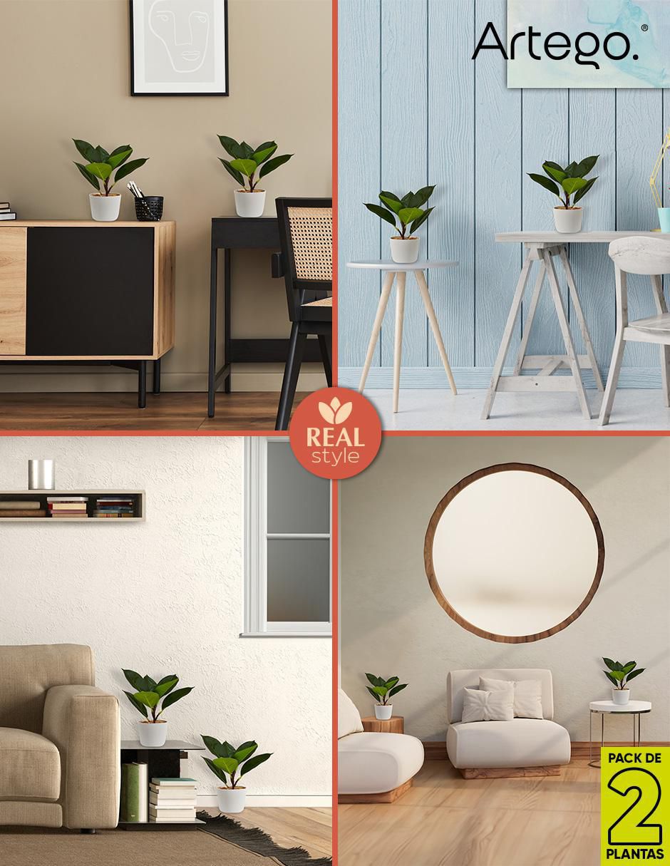 Ficus artificial 4