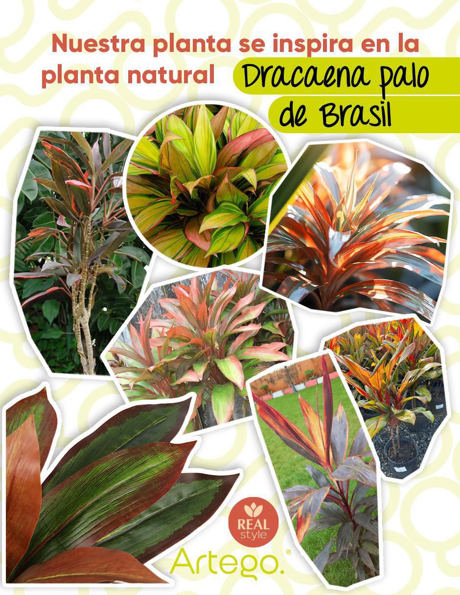 Palo de Brasil artificial 4
