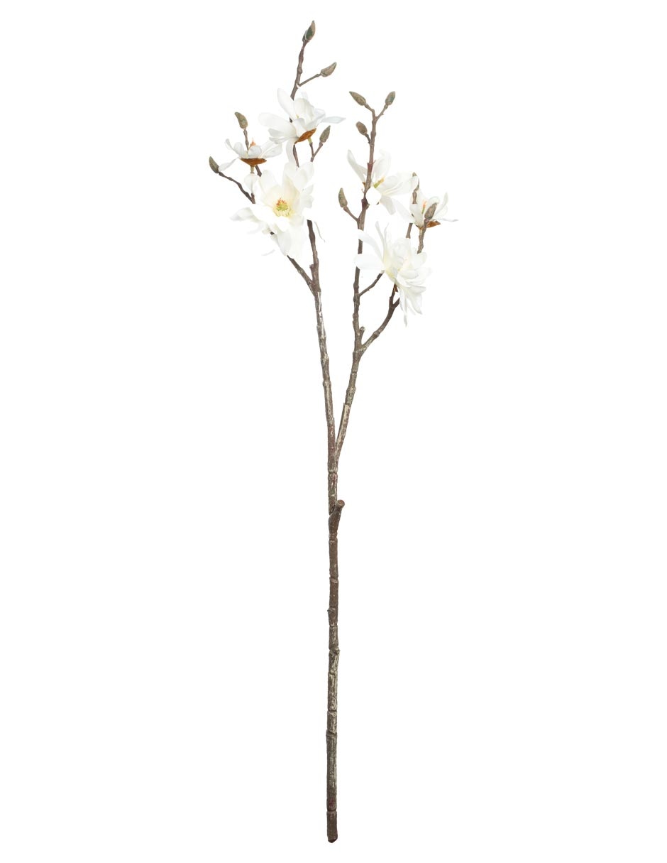 Magnolia Trends 1