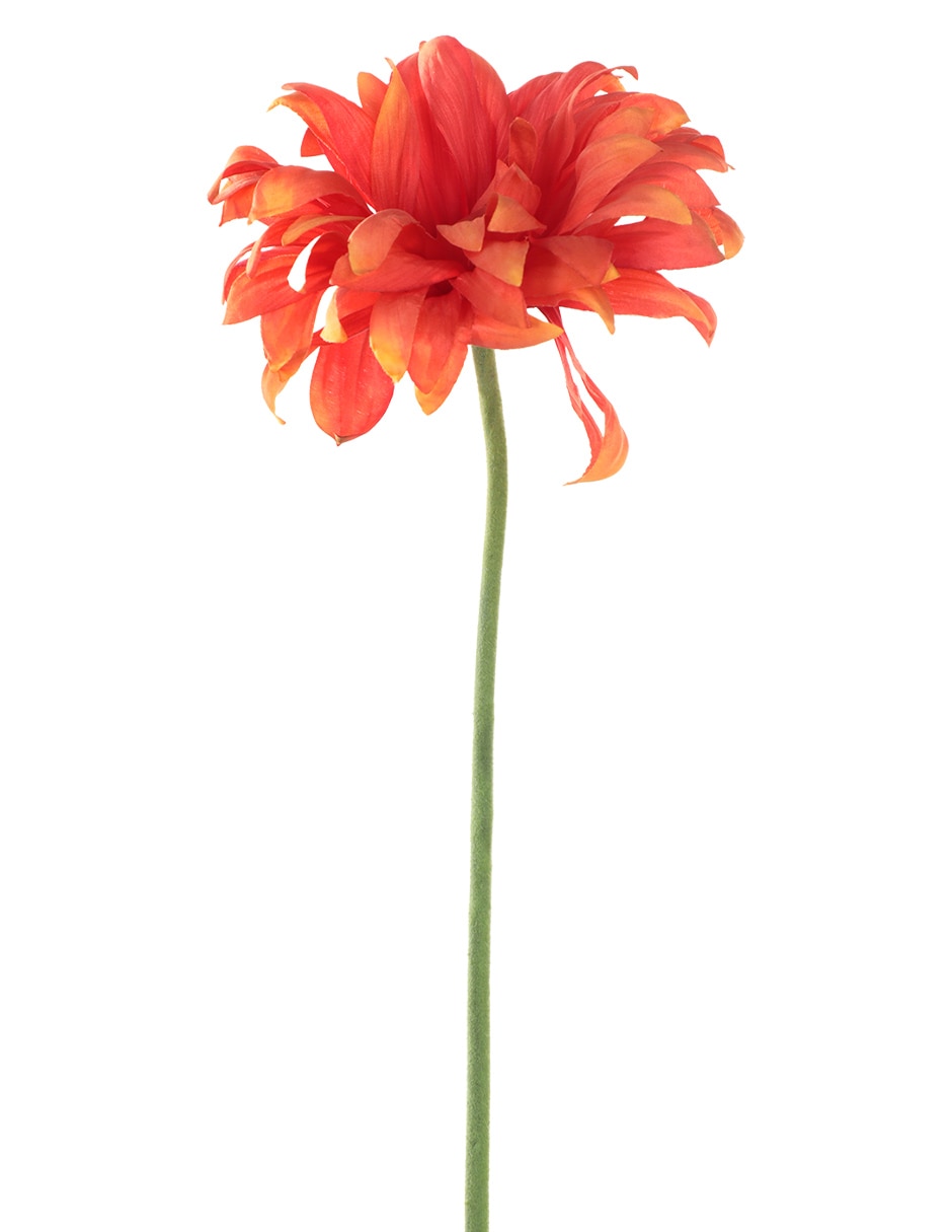 GERBERA, 76 CM, NARANJA