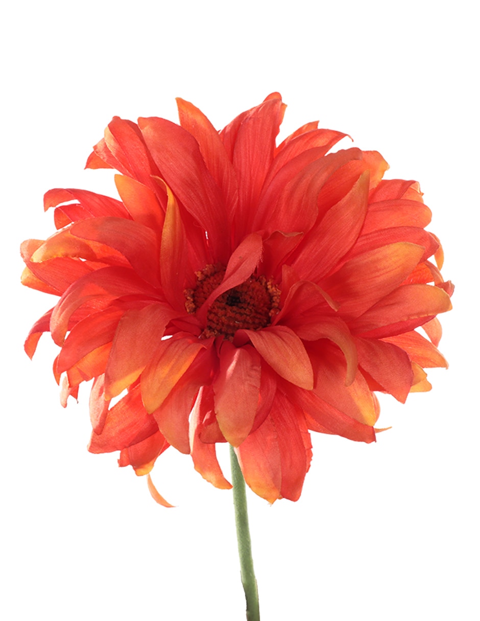 GERBERA, 76 CM, NARANJA