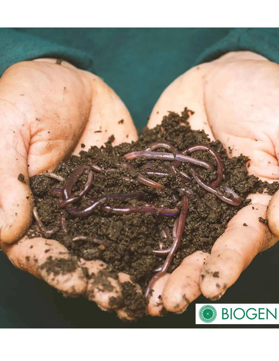 Fertilizante para todo tipo de plantas y césped 24712 2