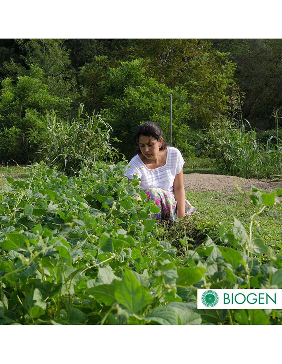 Fertilizante para todo tipo de plantas y césped 24712 4