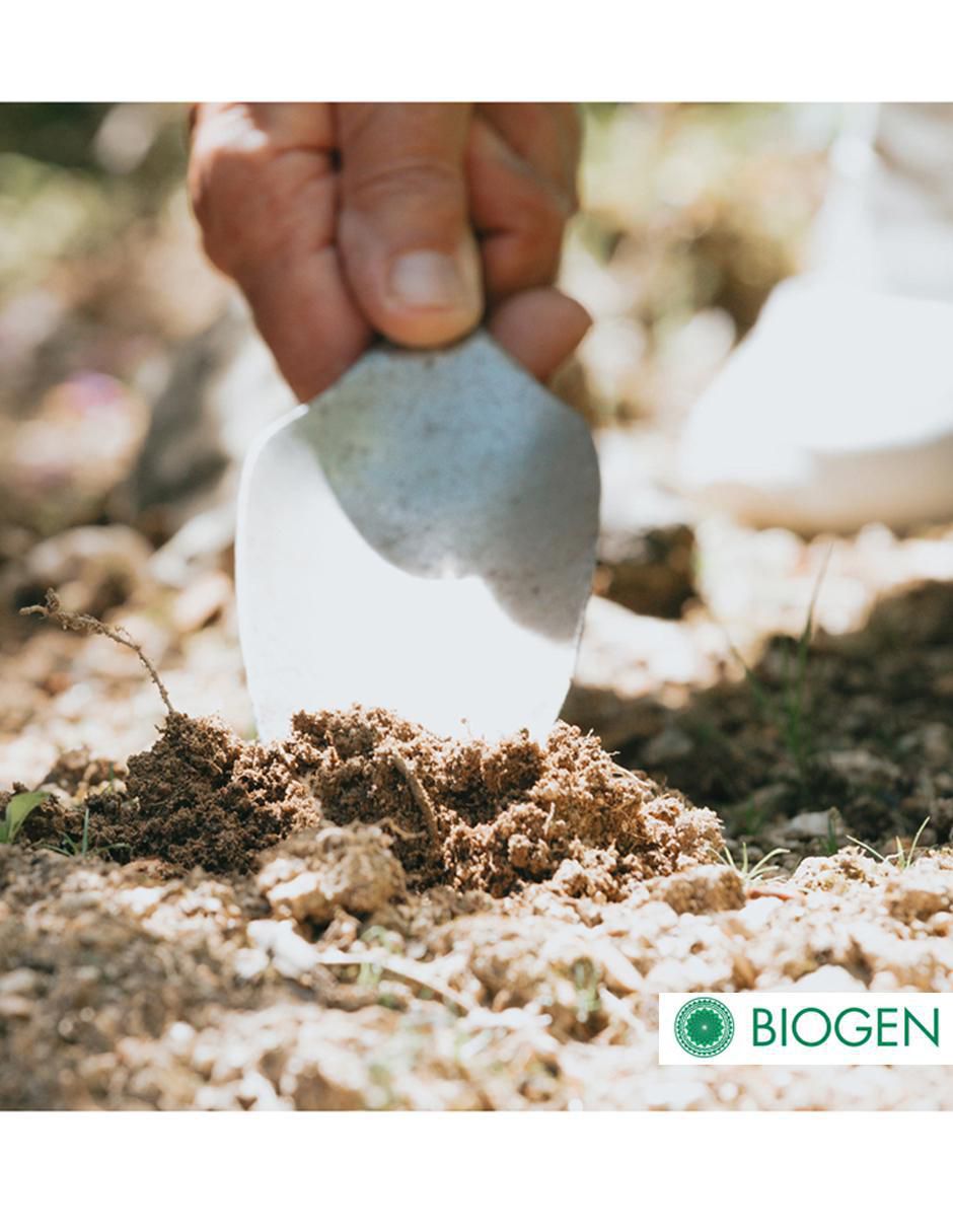 Fertilizante para todo tipo de plantas y césped 24715 2