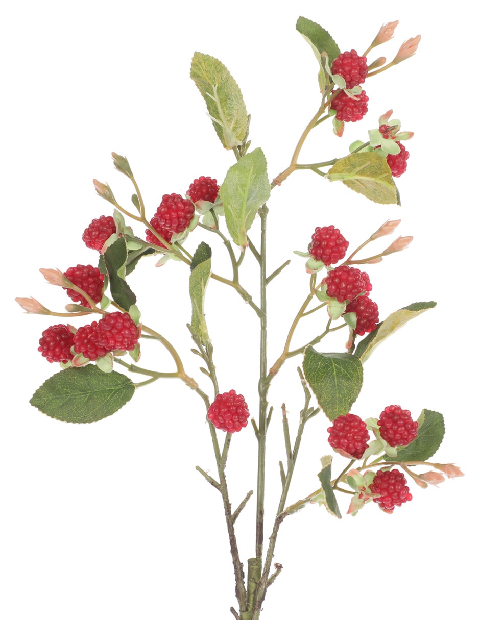 Berries decorativa 2