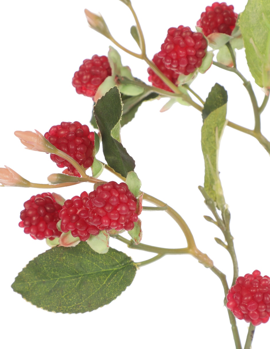 Berries decorativa 3